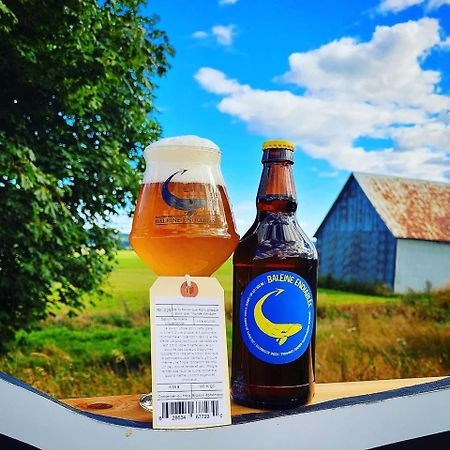 La Baleine Endiablee Microbrasserie Riviere-Ouelle Exterior foto